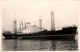 JOSEPH CAMARET * Carte Photo * Bateau Cargo Paquebot Commerce Marine Marchande ? Compagnie DELMAS VIELJEUX - Cargos