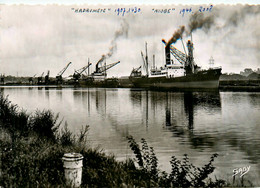 HADRUMETE & NIOBE * Carte Photo * Bateau Cargo Paquebot Commerce Marine Marchande ? Société Naval Caennaise Caen - Commerce