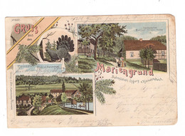 0-6841 LANGENORLA - KLEINDEMBACH, Lithographie Mariengrund, 1901 - Schleiz