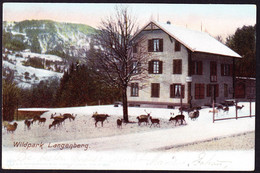 1902 Gelaufene AK: Wildpark Langenberg Im Winter. Privatstempel: Station Gontenbach - Laufen-Uhwiesen 
