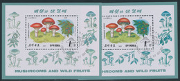 NORD-KOREA 1989, Pilze Und Pflanzen 1 W. Rosa-Schmierling, Gest. Kab.-Block, ABART - Corea Del Nord