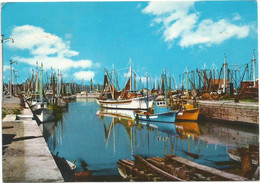 AA198 Fano (Pesaro Urbino) - Il Porto - Barche Boats Bateaux / Viaggiata 1967 - Fano