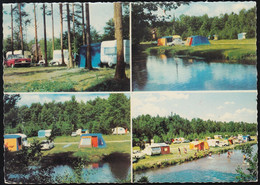 D-29633 Munster-Kreutzen - Campingplatz Örtzewinkel - Cars - Ford - Munster