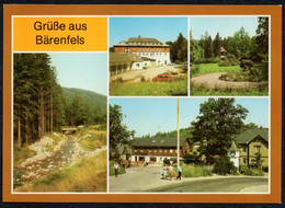 F3019 - TOP Bärenfels FDGB Heim Max Niklas - Bild Und Heimat Reichenbach - Dippoldiswalde