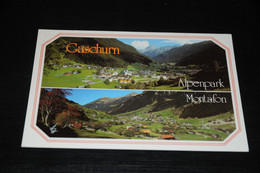 31287-                    GASCHURN, ALPENPARK, MONTAFON, VORARLBERG - Gaschurn