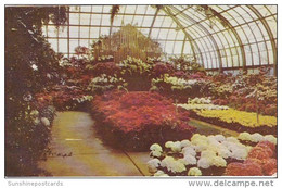 Annual Easter Display Conservatory In Eden Park Cincinnati Ohio 1961 - Cincinnati