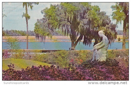 Middleton Place Gardens Charleston South Carolina 1970 - Charleston