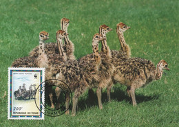 CARTE MAXIMUM - MAXICARD - MAXIMUM KARTE - CARTOLINA MAXIMA - MAXIMUM CARD - TCHAD - AUTRUCHE - Struthio Camelus - Ostriches