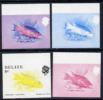 Belize 1984-88 Hogfish 5c Def Imperf Progressive Marginal Proofs In Blue, Red, Red & Blue And Yellow & Black, 4 Proofs U - Belize (1973-...)