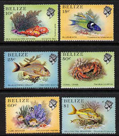 Belize 1984-88 Marine Life Def Set Of 6 Values Perf 13.5 U/M, SG 772-6B & 778B - Belize (1973-...)