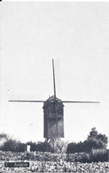 AAIGEM - Ons Molenheem - Moulin à Vent - Windmolen - Windmill - Windmühle - Erpe-Mere