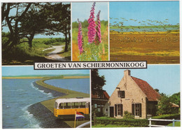 Groeten Van Schiermonnikoog - O.a. Oude Autobus - Streekbus - (Nederland) - SCG 17 - Schiermonnikoog