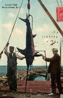 Pêche à L'Espadon - Sword Fish, Block Island (Rhode Island, RI) Publ. Charles H. Seddon - Pesca