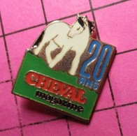 1215b Pin's Pins / Beau Et Rare / THEME : MEDIAS / REVUE CHEVAL MAGAZINE 20 ANS - Médias