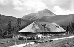 Chalet Des Paccots Sur Châtel St Denis - Châtel-Saint-Denis