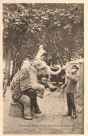 Souvenir Du Théâtre Cirque Des Animaux Exotiques * Cirque Circus Numéro * Dompteur Domptage éléphant - Zirkus