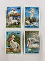 Romania 1984 Birds Animamls Pelicans Bird Animal World Wildlife Fund Fauna WWF W.W.F. Organizations Nature Stamps - Pélicans