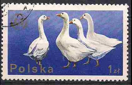 Poland 1975 Congress Of The European Association For Animal Production, Birds, Geese Mi 2379 ,  Cancelled(o) - Oche