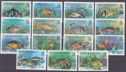 Turks & Caicos 1978, Postfris MNH, Fish - Turks- En Caicoseilanden