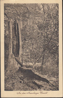 Aus Dem Neuenburger Urwald, Als Feldpost Mit Stempel: Bockhorn 14.6.1917 - Varel