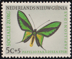 Netherlands New Guinea 1960 MNH Sc #B23 5c + 5c Papilio Paradisea Butterflies - Nouvelle Guinée Néerlandaise