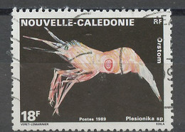 Nouvelle Calédonie - Neukaledonien - New Caledonia 1989 Y&T N°576 - Michel N°849 (o) - 18f Plesionika - Oblitérés