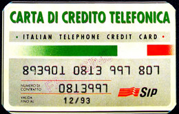 CARTONCINO FAC SIMILE CARTA DI CREDITO E SCHEDA TELEFONICA SIP PRATIC CARD - Other & Unclassified