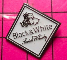 1717 Pin's Pins / Beau Et Rare / THEME : BOISSONS / SCOTCH WHISKY BLACK & WHITE CHIENS FOX TERRIER - Boissons