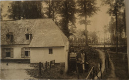 Wemmel // Almeghemmolen - Moulin D' Almeghem 1923 - Wemmel