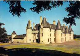 79 - Thénezay - Le Château De La Roche Faton - Thenezay