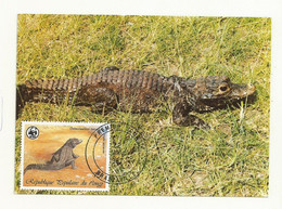 WWF CARTE MAXIMUM CONGO THEME CROCODILE . - Maximum Cards