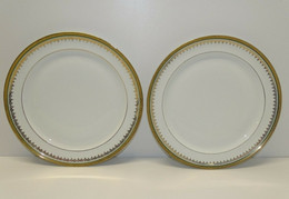 2 JOLIES ASSIETTES PORCELAINE LIMOGES CH.FIELD HAVILAND Bordure Décors Dorés Collection Déco Table Vitrine - Limoges (FRA)