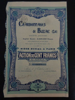 FRANCE - 46 - CHARBONNAGES DE BUZAC - ACTION DE 100 FRS - PARIS 1905 - Other & Unclassified