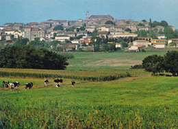 47 - Monflanquin - Vue Générale - Monflanquin