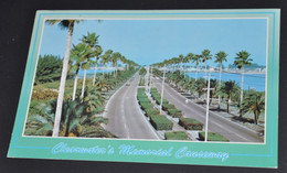 Clearwater's Memorial Causeway - Clearwater