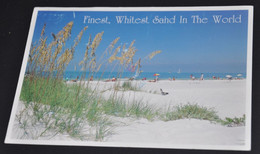 Finest, Whitest Sand In The World - Sarasota