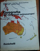 GEOGRAFIA DEI CONTINENTI EXTRA EUROPEI - AA.VV. - ZANICHELLI - 1996 - M - Historia, Filosofía Y Geografía