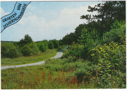 Groeten Van Schiermonnikoog - Natuur - (Nederland/Holland) - Nr. 717 - Schiermonnikoog