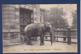 CPA éléphant écrite - Éléphants