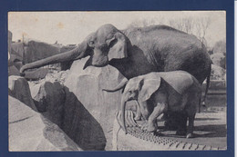 CPA éléphant Circulé - Éléphants
