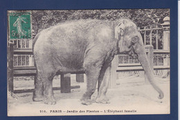 CPA éléphant Circulé - Elefantes