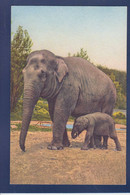 CPA éléphant Non Circulé - Olifanten