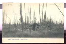 Cpa Forêt D'houthulst - Houthulst