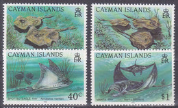 Kaaiman Eilanden 1993, Postfris MNH, Fish - Iles Caïmans