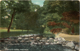 Endcliffe Woods,Sheffield 1907 - Sheffield