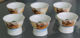 6 Verres A Saké Japonais En Porcelaine Boule Verre Femme érotique Alcool Riz Asie - Cups