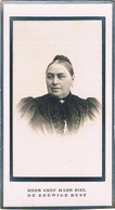 Van Weel-roosendaal 1839-1925 - Santini