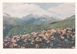 Georgia Russia Caucasus Mountains - Georgian Military Road - Caucasus Mountains View - Printed 1957 - Georgia