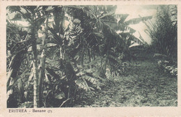 ERITREA - CARTOLINA - BANANE - Eritrea