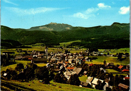 13747 - Steiermark - Bad Mitterndorf Mit Kamm , Panorama - Gelaufen 1979 - Bad Mitterndorf